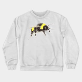 Bumblebee Crewneck Sweatshirt